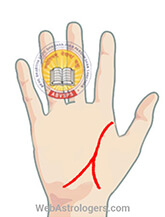 Hand Image