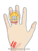 Hand Image