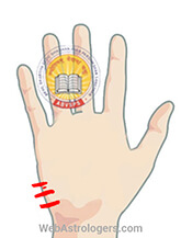 Hand Image