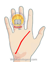 Hand Image