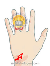 Hand Image