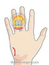 Hand Image