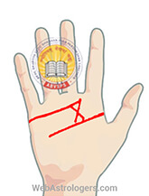 Hand Image