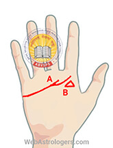 Hand Image