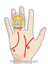 Hand Image