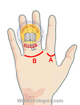 Hand Image