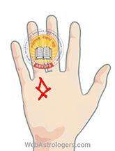 Hand Image