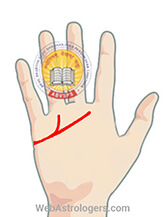 Hand Image