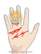 Hand Image