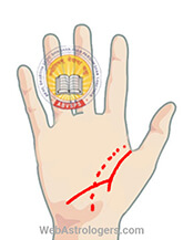 Hand Image