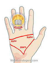 Hand Image