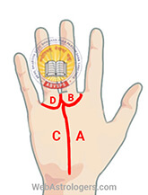 Hand Image