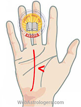 Hand Image