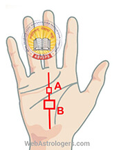 Hand Image