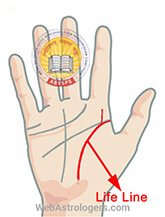 Hand Image