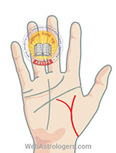 Hand Image