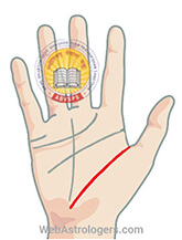 Hand Image