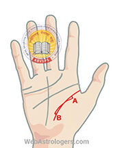 Hand Image