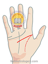 Hand Image