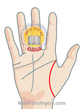 Hand Image