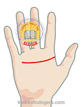 Hand Image