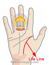 Hand Image