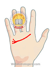 Hand Image