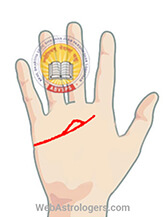 Hand Image