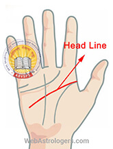 Hand Image