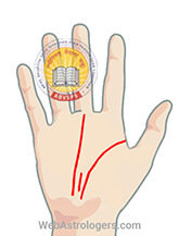 Hand Image