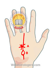 Hand Image