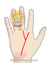 Hand Image