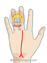 Hand Image