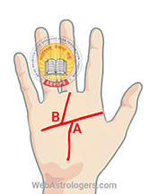 Hand Image