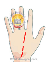 Hand Image