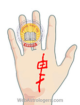 Hand Image