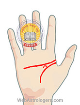 Hand Image