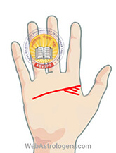 Hand Image