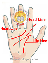 Hand Image