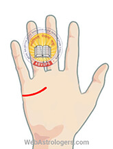 Hand Image