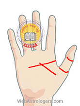 Hand Image