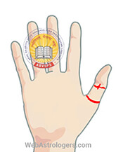 Hand Image