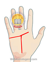 Hand Image