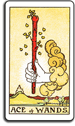 Ace of Wands