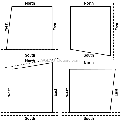 Vyaghra Mukhi (Sher Mukhi) Plot