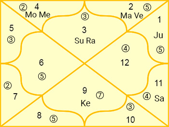 Ashtakvarga Chart