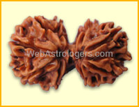 Gaurishankar Rudraksha